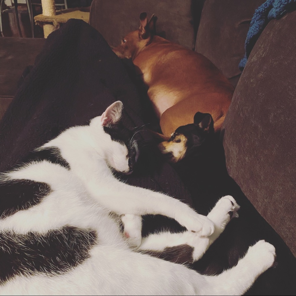 Meet your Posher, Kait